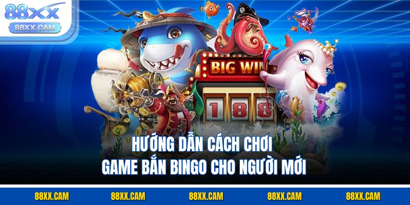 Hướng dẫn cách chơi game bắn bingo cho người mới